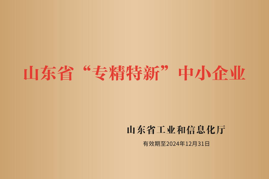 山东省专精特新企业